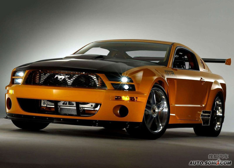 mustang组图 2004款福特野马gtr 40th anniversary 4s店报价