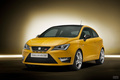2012��������Ibiza Cupra BEIJING12