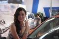 2012年第12届新疆国际工业汽车博览会车模 