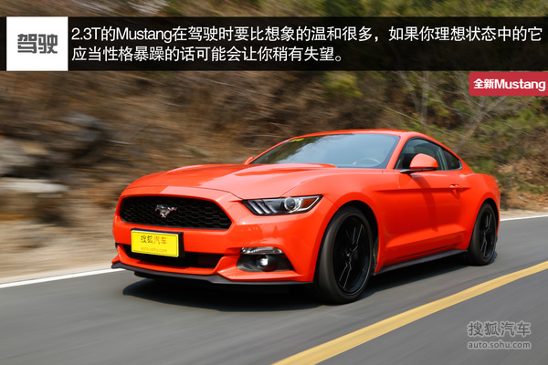  Mustang  ʵ ͼ ͼƬ