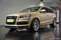 µ3.0TDI˶ذ