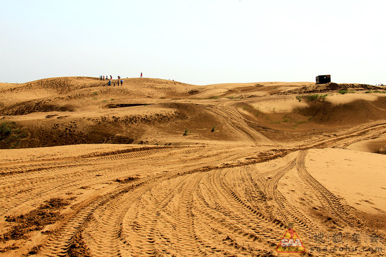 【毛毛虫游记】跨过黄河穿越库不齐沙漠_福瑞