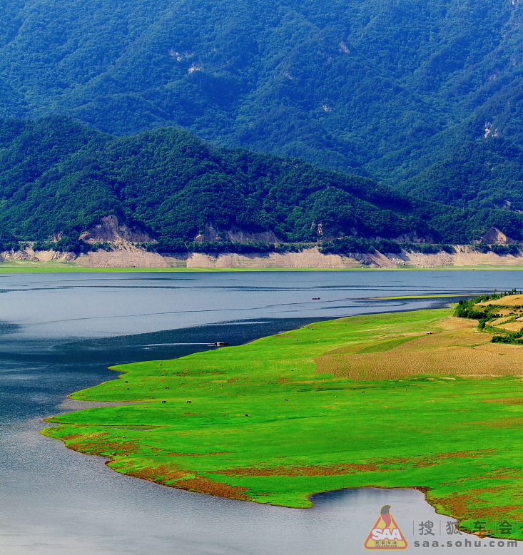 自驾再游绿江村,只为江中油菜花那一抹黄