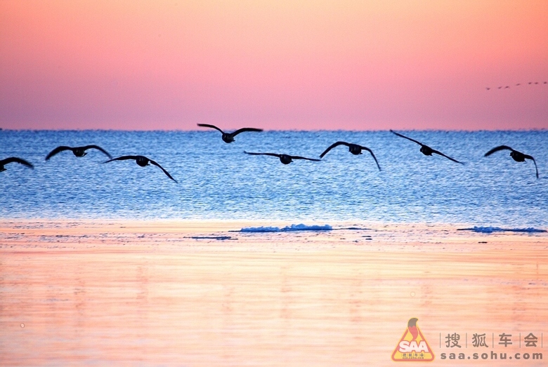 红河谷的四季歌-贺狐拍社