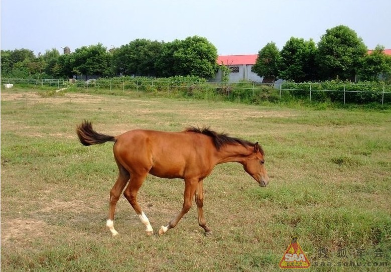 给大家分享几个上海近郊自驾游的好去处 看得