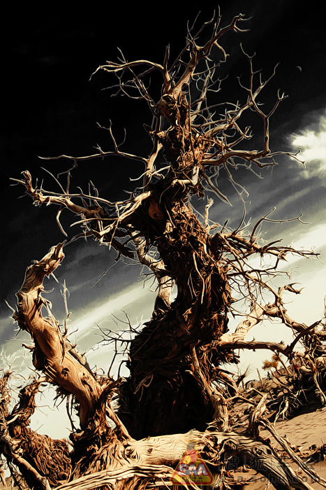 【大西北自驾游记】--内蒙额济纳怪树林_北京