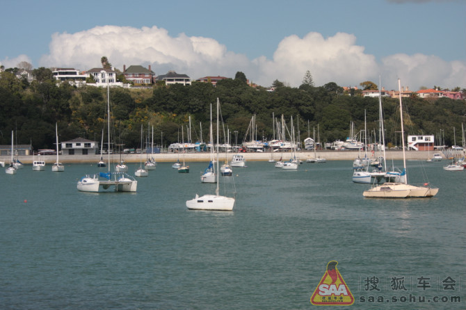 新西兰浪漫之旅--奥克兰(帆船之都)--之二_哈尔