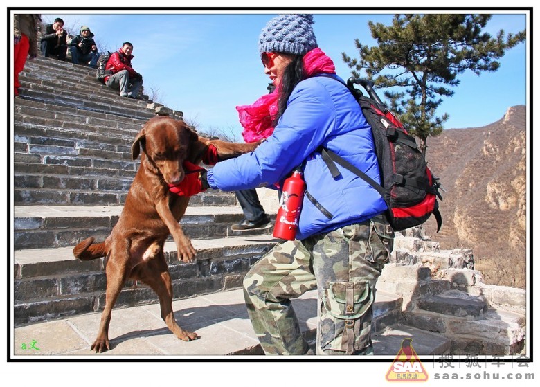 长城 <em>女人与狗</em> 2012 02 04踏春 - 结伴自由行俱