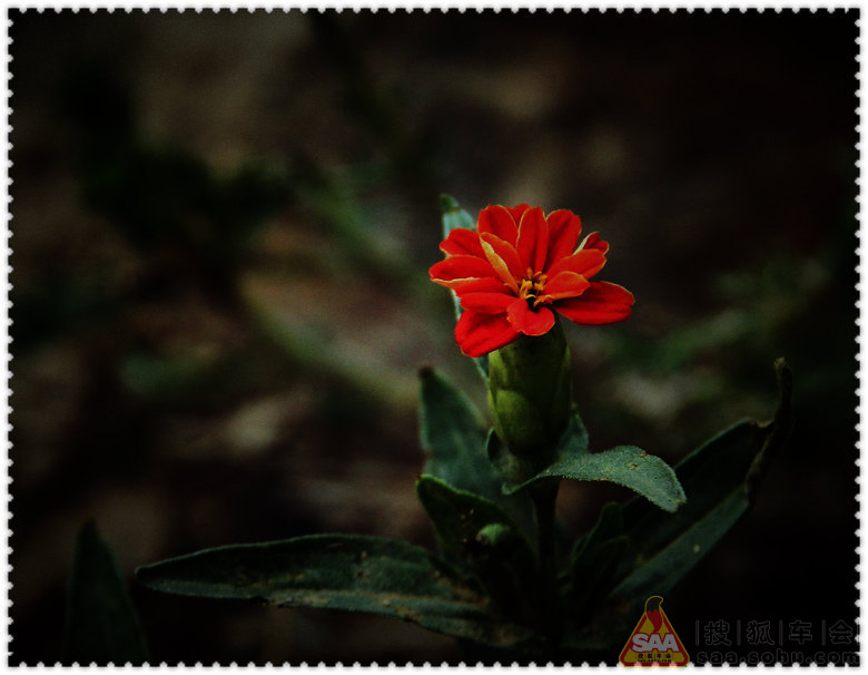 良言一句三冬暖 恶语伤人六月寒 - 京A军团摩旅