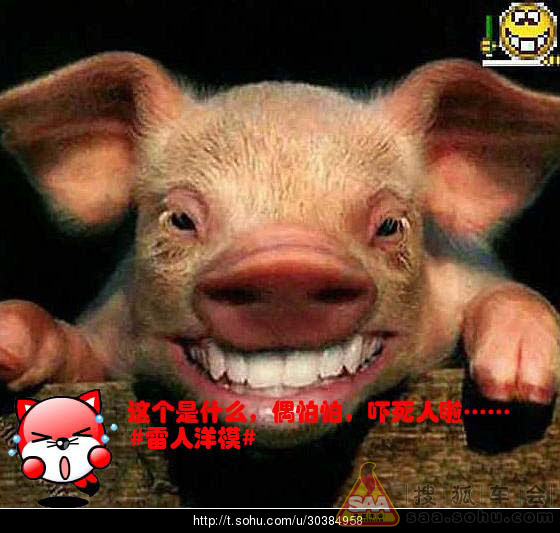 广州车展惊现大猪头!!!_宝马车友会_搜狐车友会