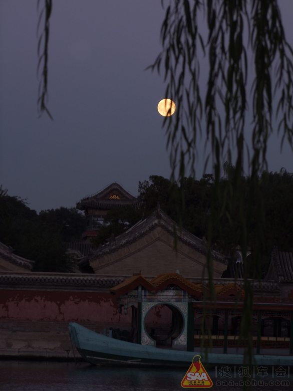 观月小鸟福利_... _观月小鸟福利图 - 黑马素材网