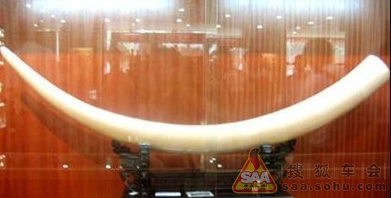 亚运会圆满落幕!CR-V满载而归_北京CR-V论坛