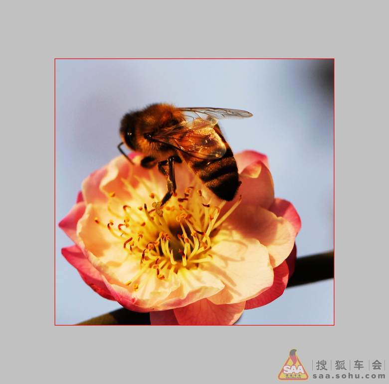 2012 年 每日打卡金帖- 有景点照片逢九必奖 -