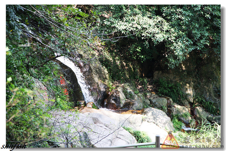 [沪车写手0902]莫干山自驾游