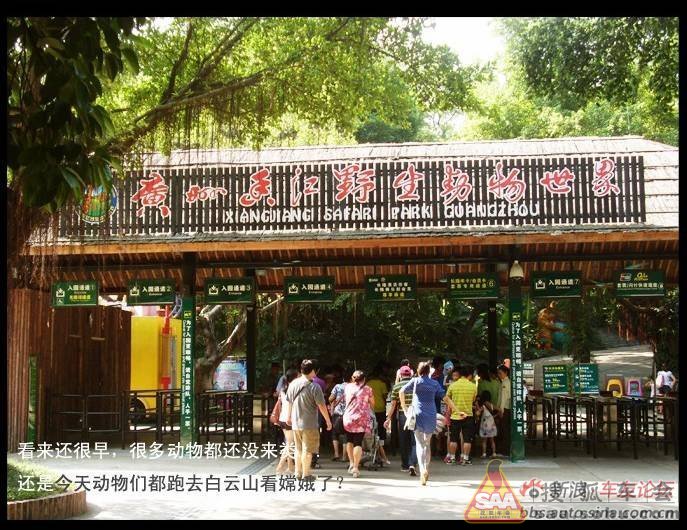 广州长隆野生动物园图片