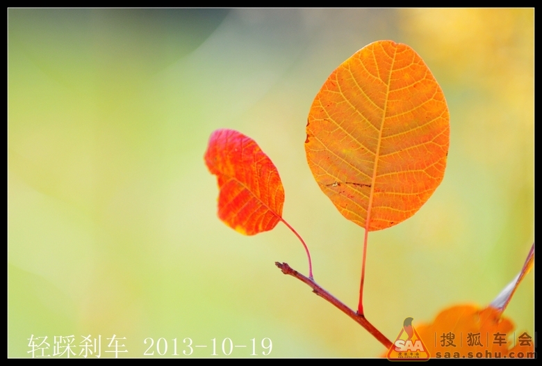 色秋212、309、213省道_轻野联盟