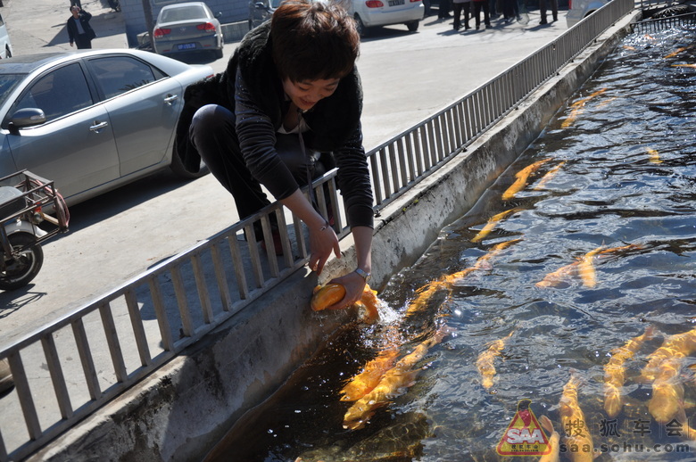 快来瞧快来看,这<em>姑娘干嘛</em>呢 - 北京红马车友会