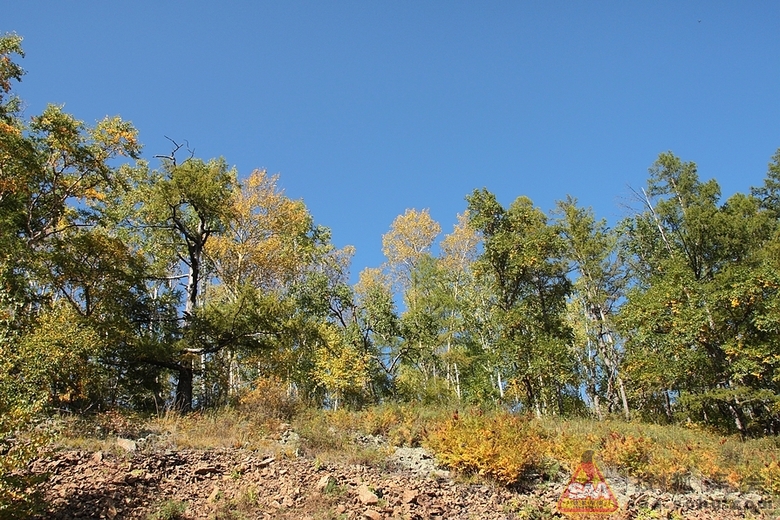 呼伦贝尔4日环线之太平屯 - 临江之月亮泡子-已