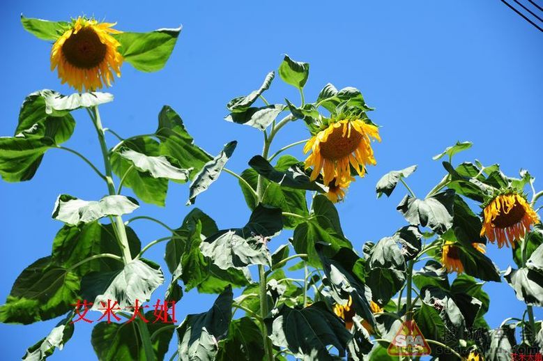 自驾门头沟一日游走近马栏村走近冀热察挺进军