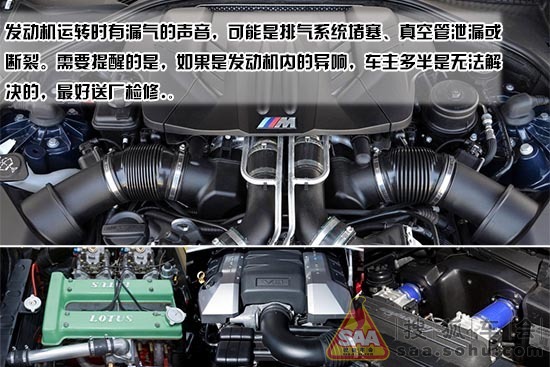 Img6878338_780.jpg