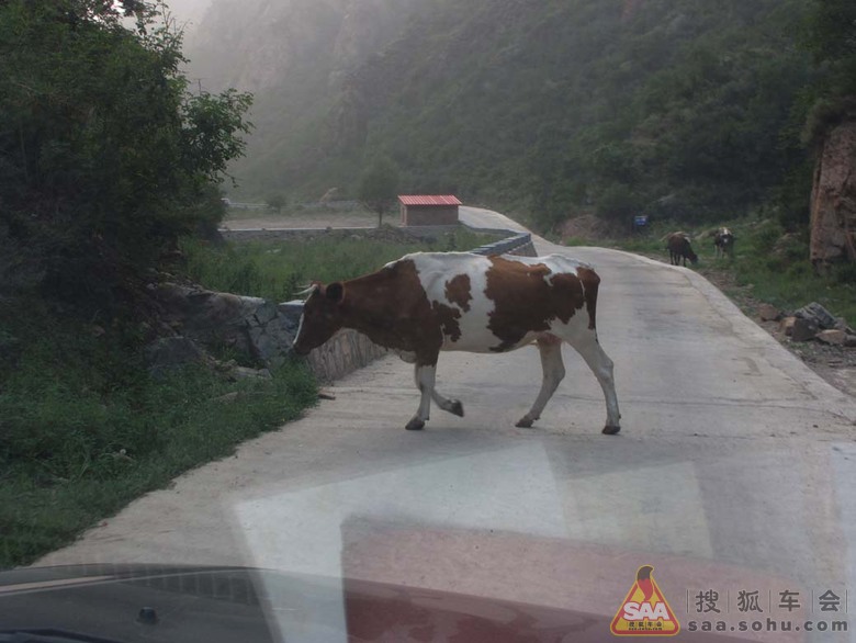 2011-8-13\/14 轻野后城,扎营海砣