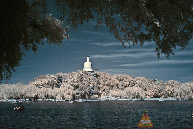 2012 年 每日打卡金帖- 有照片或佳句逢九必奖