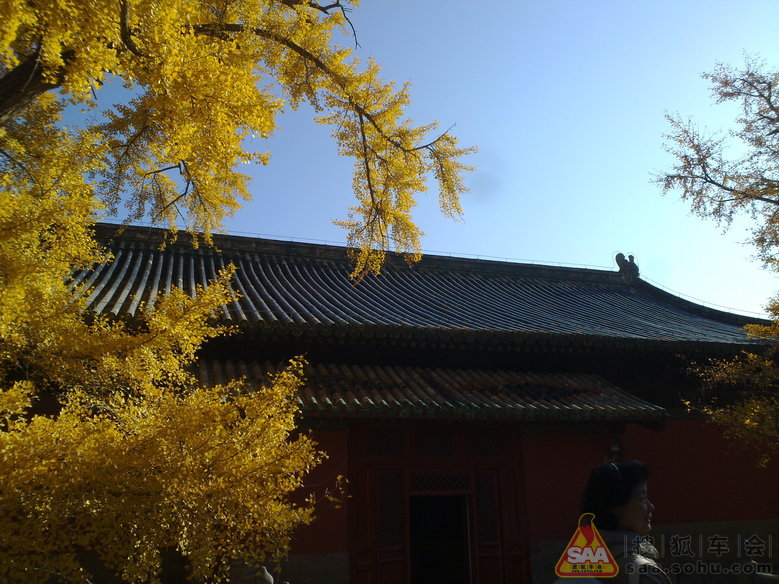 周三不收门票的大觉寺之游(手机版)_汽车60部