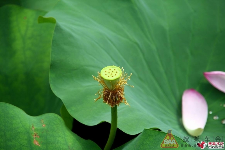 从哪里出发--邯郸游】