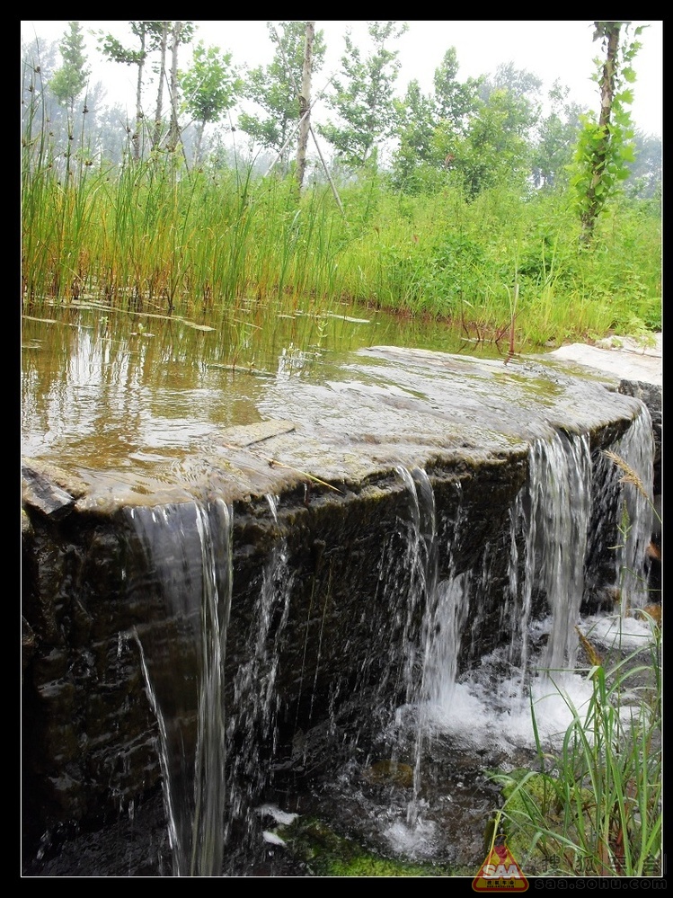 [原创]记忆小景--汉石桥湿地公园(1) _媚眼看车