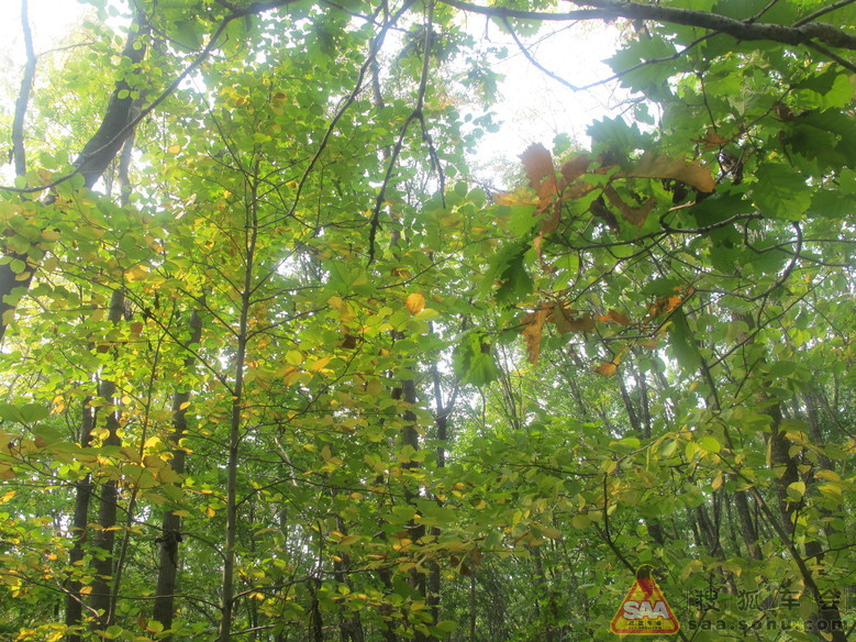 大青山野爬随手拍_哈尔滨车友会