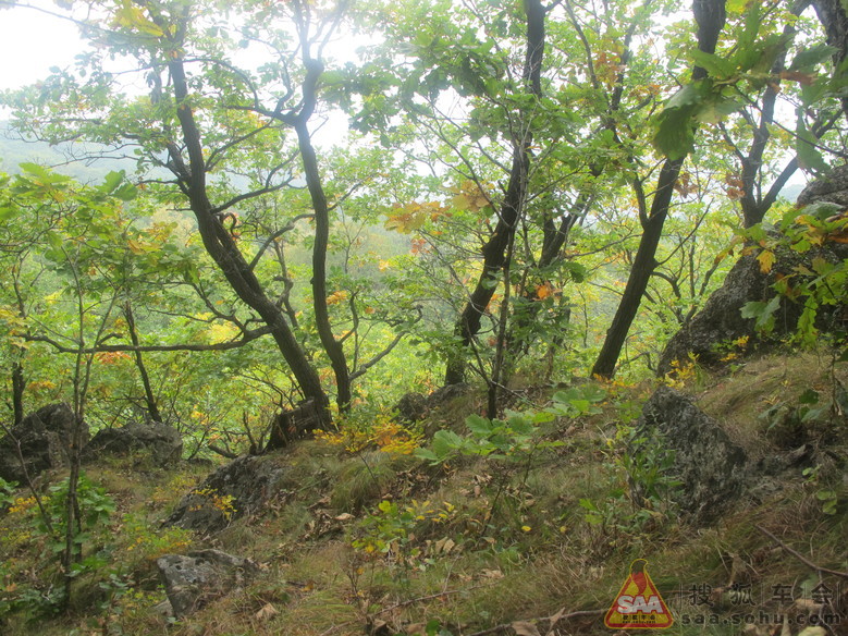 大青山野爬随手拍_哈尔滨车友会