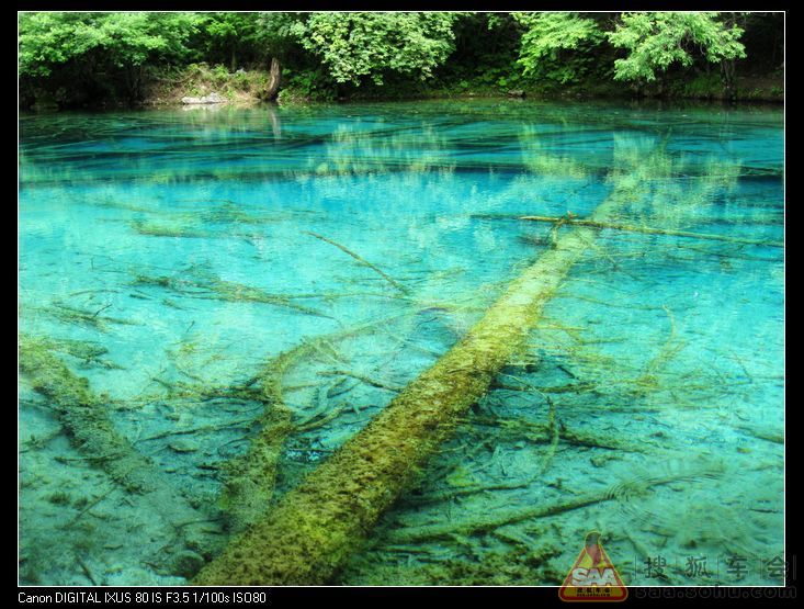 甘南九寨自驾游全攻略 (十四)_雨燕车友会