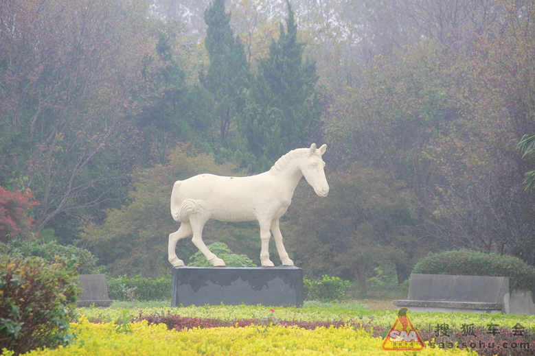 【淮车写手】秋之行--探访大丰麋鹿国家级自然