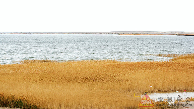 【大西北自驾游记】--内蒙额济纳居延海_北京