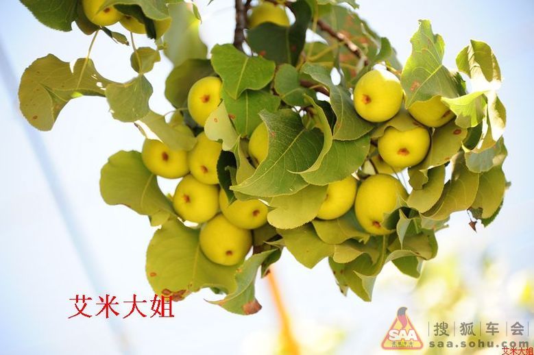 自驾门头沟一日游走近马栏村走近冀热察挺进军