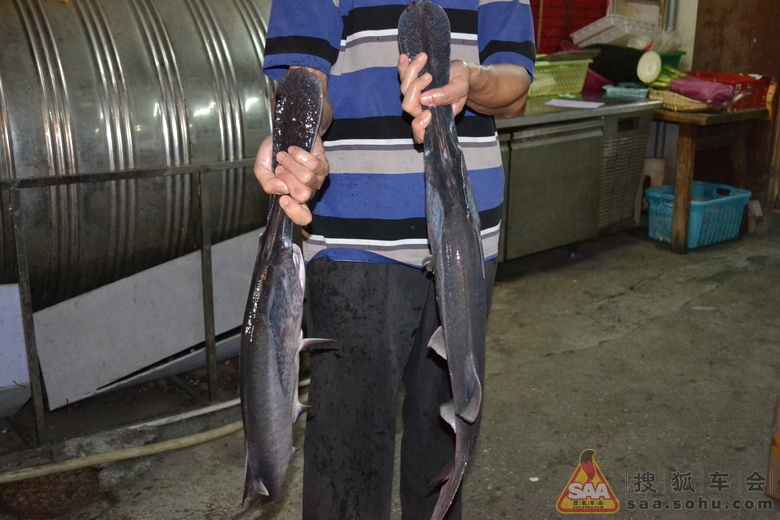 兴之所至之&深圳奔驰C级车主群&香蜜湖吃鸭