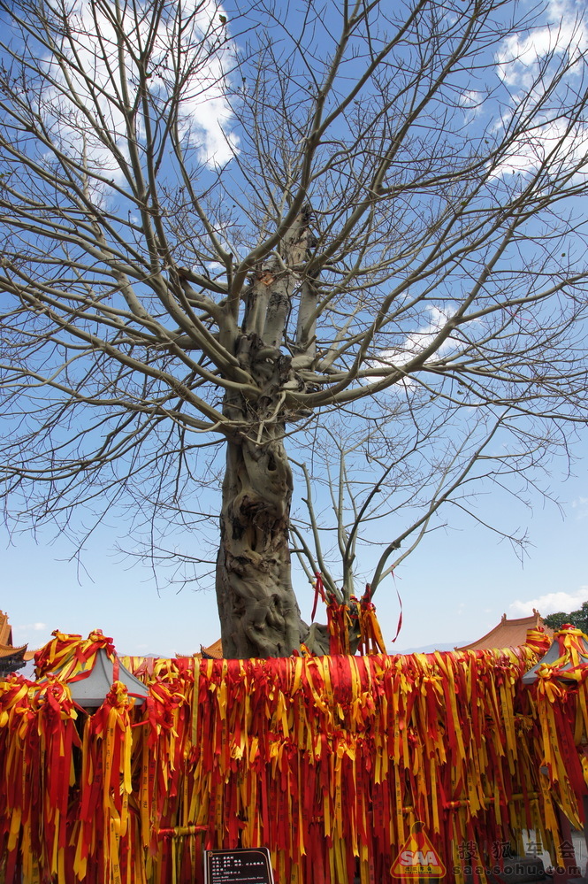 春节云南六日游--昆明、大理、丽江 - 马自达6车