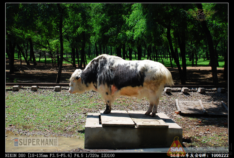 超人1000】S6唐山车友会7.28秦皇岛两日游 - 