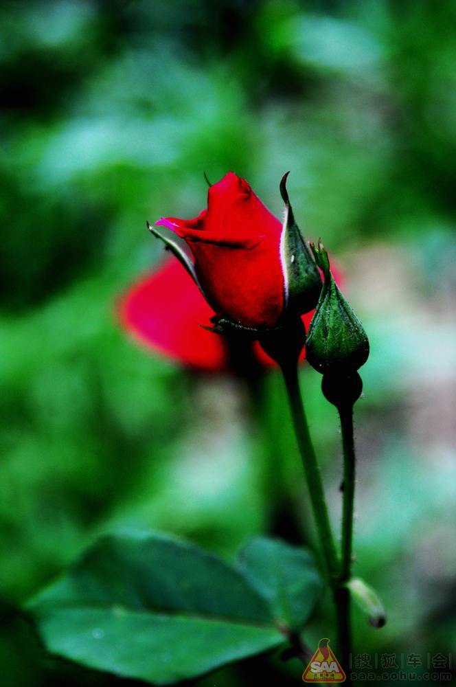 2012 年 每日打卡金帖- 有景点照片逢九必奖 -