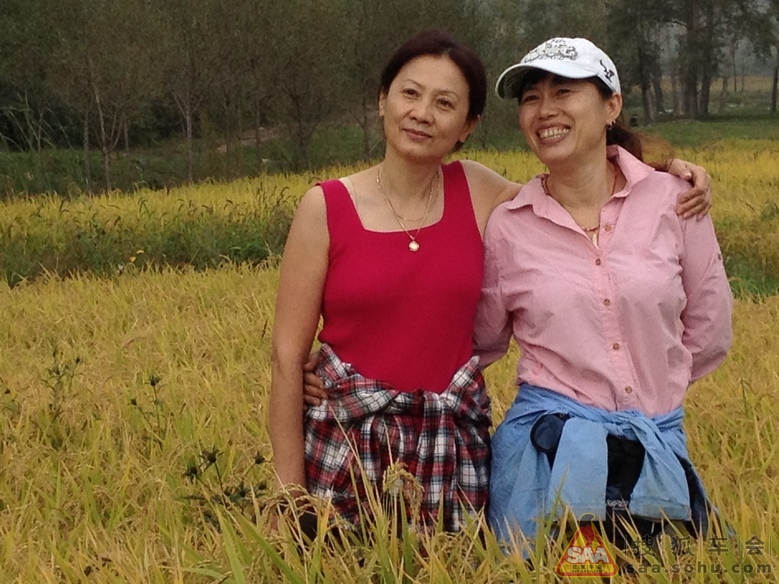 麦田的美<em>熟女</em>_普锐斯<em>论坛</em>_搜狐车友会