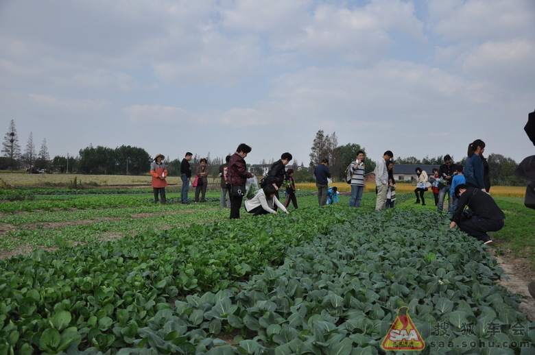 [美味七七]-崇明岛农家乐原生态自驾游_上海车