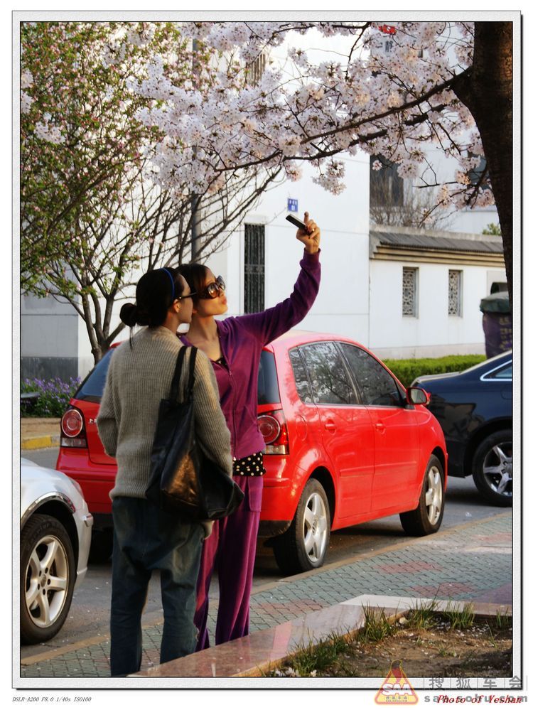 【江南小城的春天】---常熟街景扫描