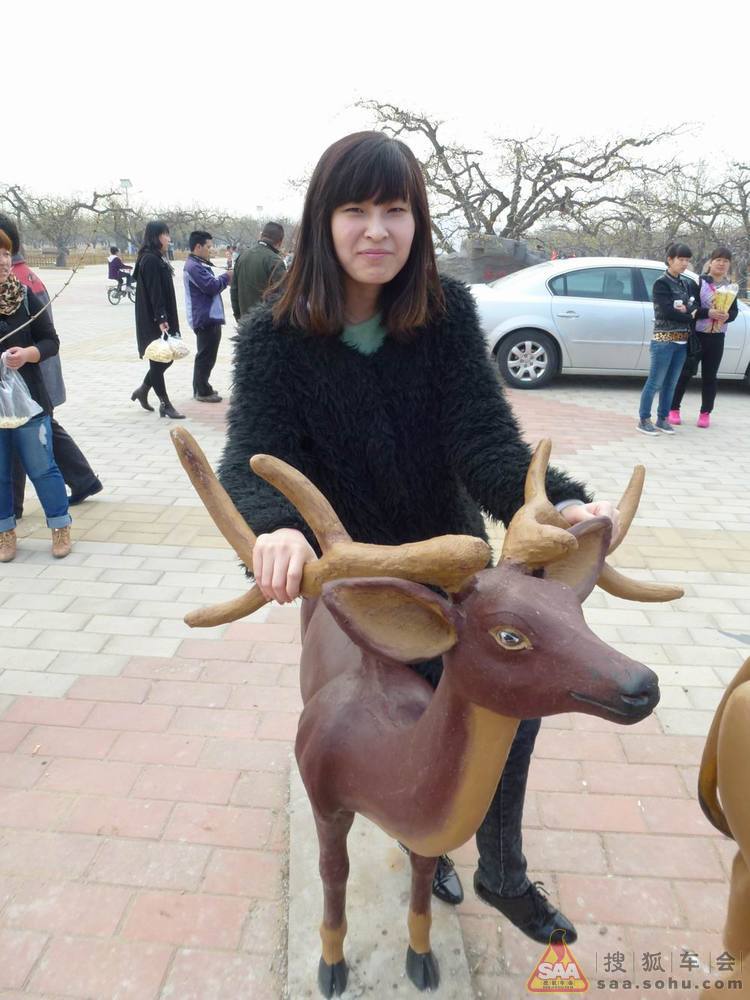 房山观梨花暨窦店同顺斋牛头宴之观梨花--by 华