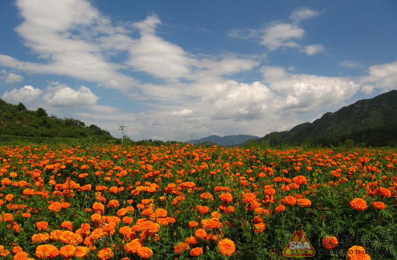 2012 年 每日打卡金帖- 有照片或佳句逢九必奖