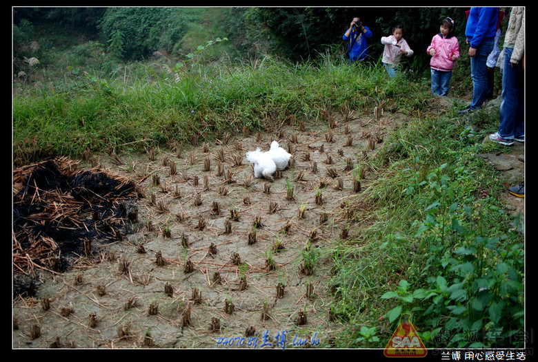 【参赛作业】深圳网友8车-湖南罗溪兰博家乡自