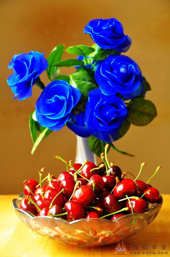 2012 年 每日打卡金帖- 有景点照片逢九必奖 -