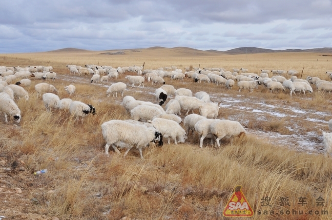 蜜月旅行自驾FX35北京-阿尔山直播帖