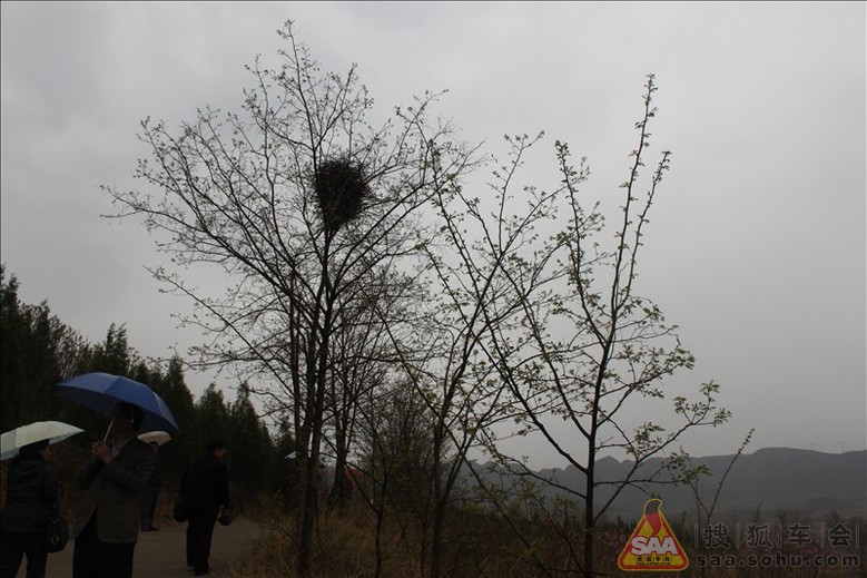 2011年4月21日出游之①平谷看桃花 - 北京福瑞