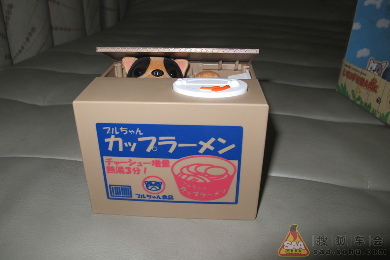 超萌的偷钱柿子狗