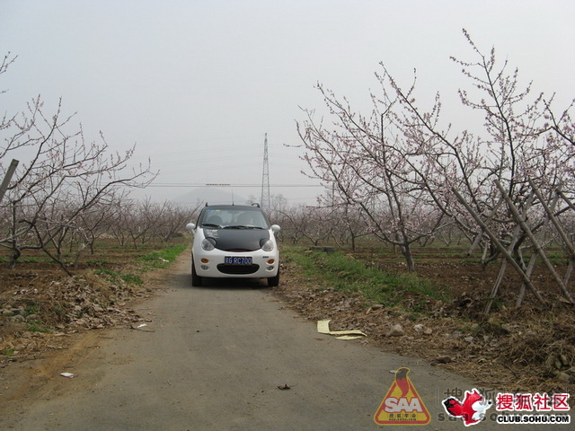 老帮菜有在的吗? - QQ小学